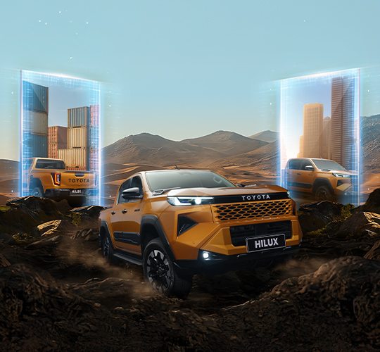 Chinh phục đỉnh cao