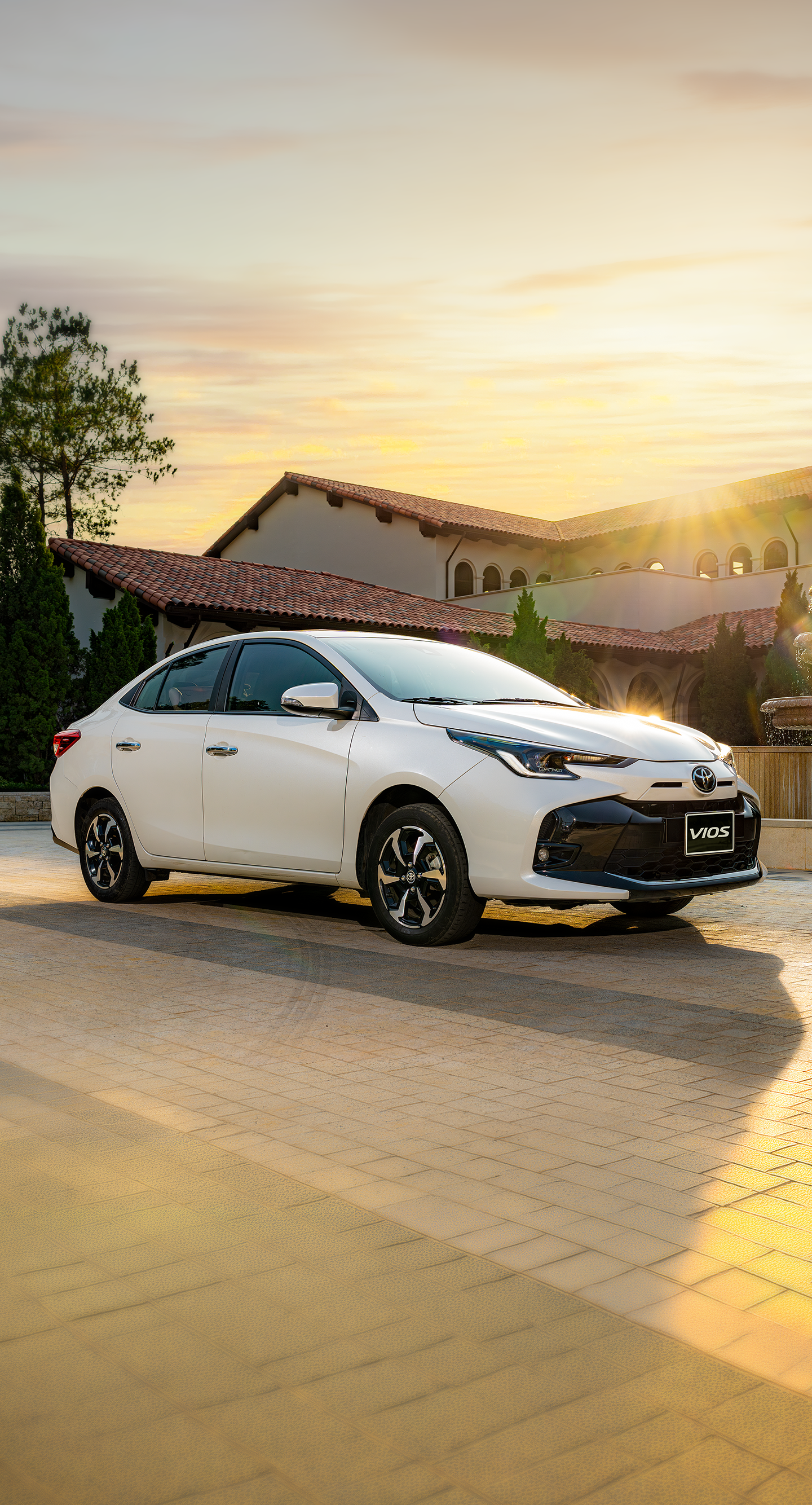 Vios