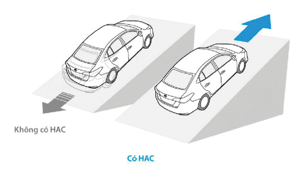 HAC