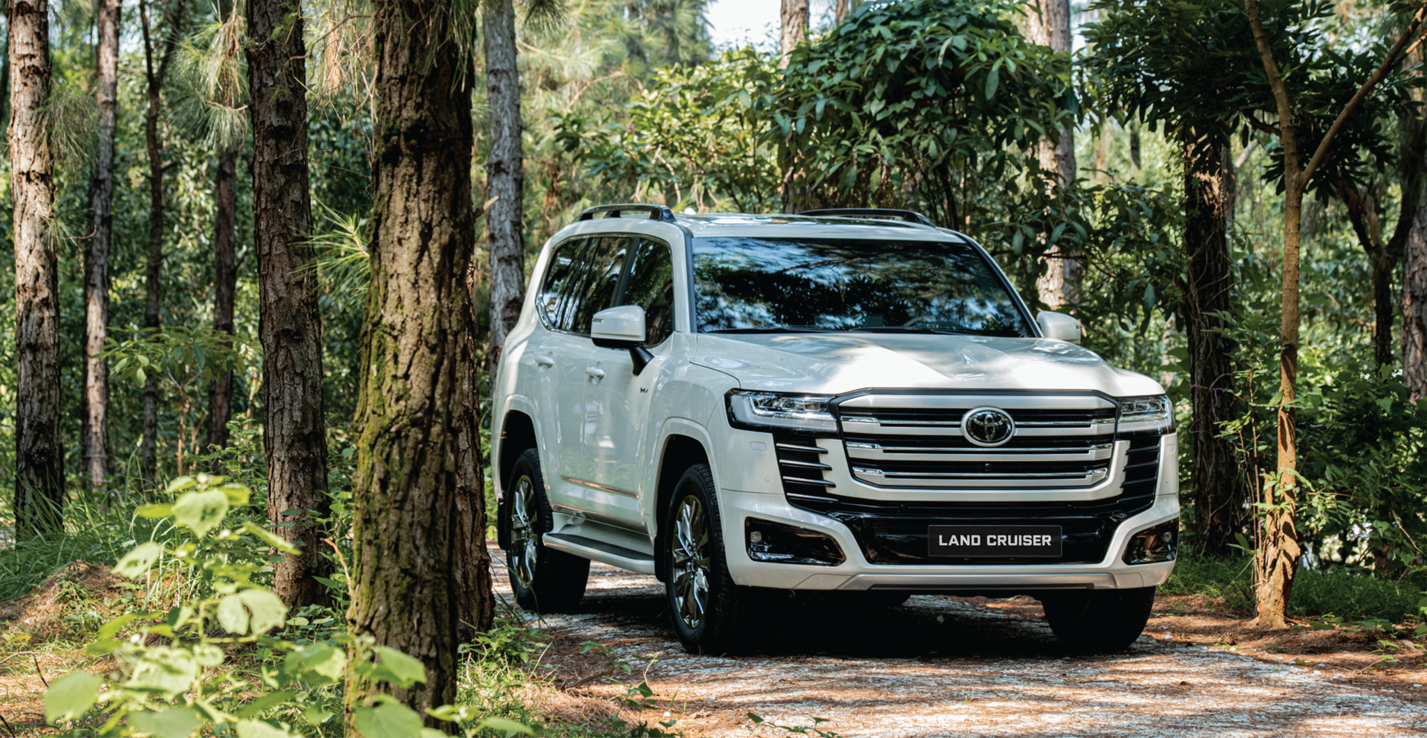 Land Cruiser