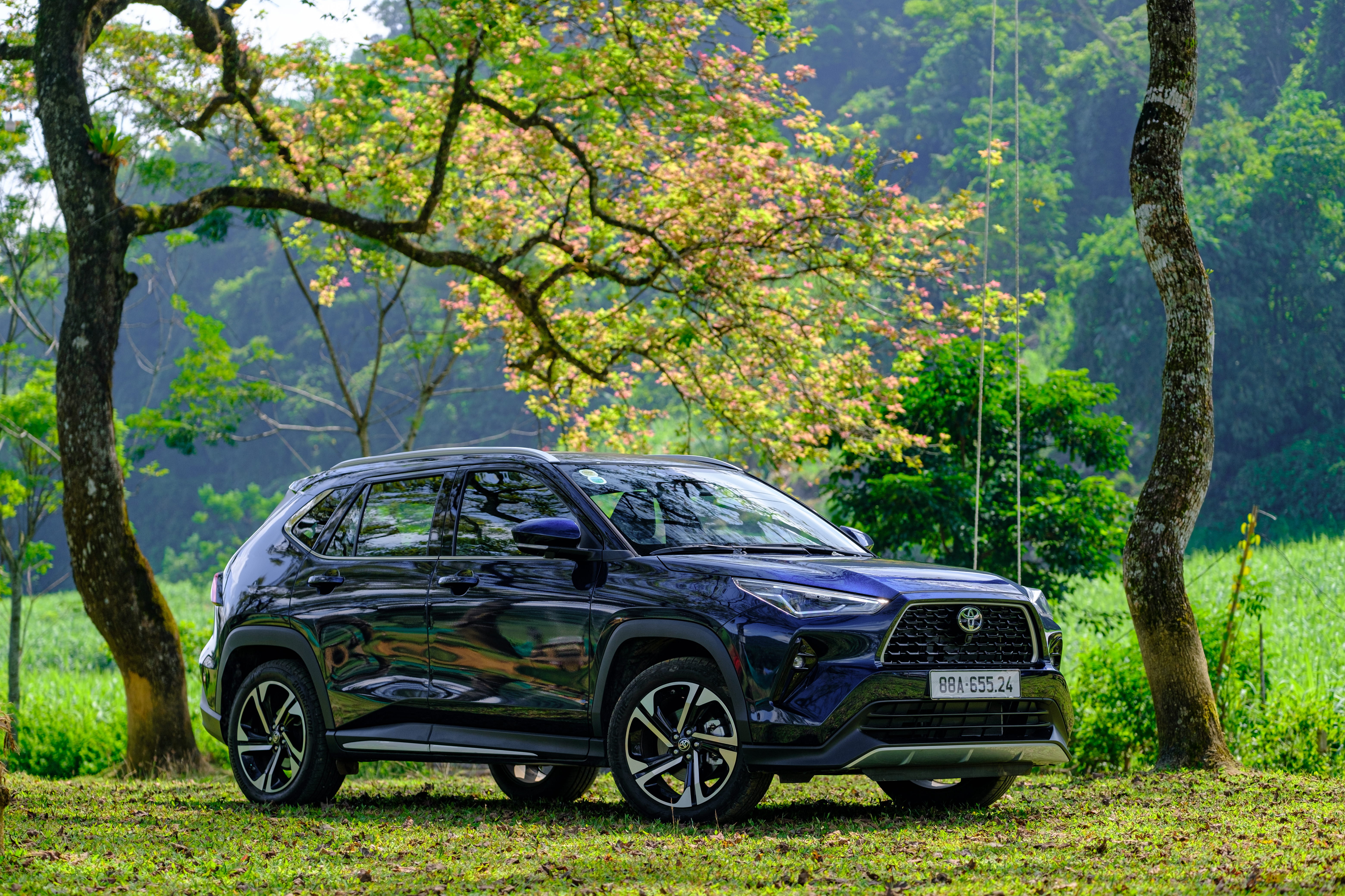 Các dòng xe Hybrid: Công nghệ, ưu điểm và cách chọn xe Toyota