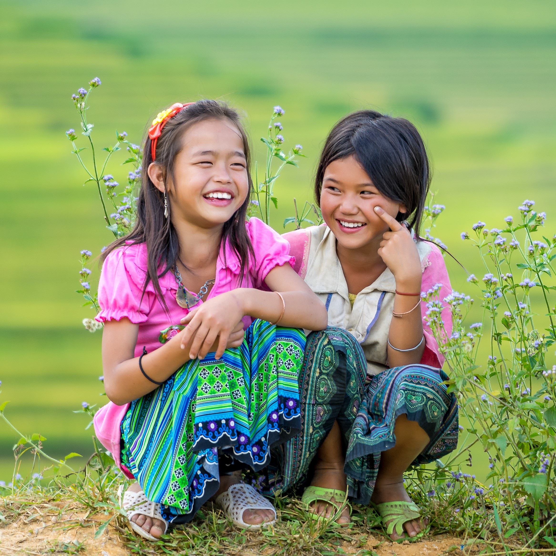 Quỹ Toyota Việt Nam