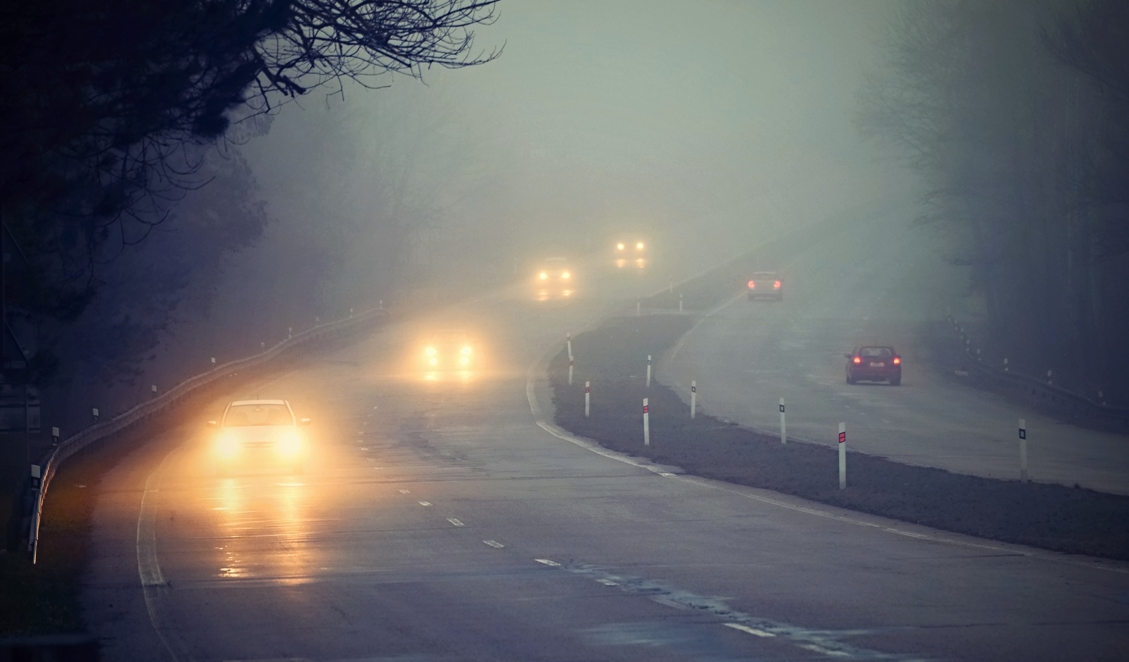 Đèn sương mù ô tô là gì? Tác dụng và cách sử dụng đèn sương mù