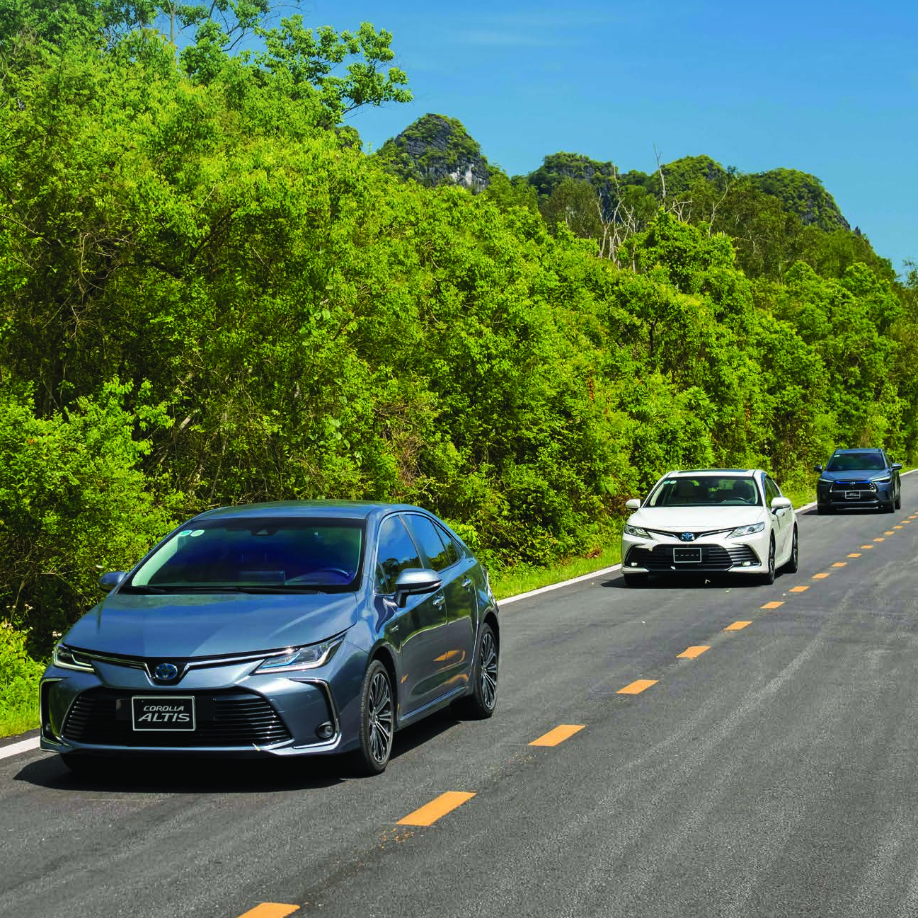 Phát triển bền vững