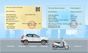 Cà vẹt xe là gì? Cách nhận biết cà vẹt xe giả và thật chi tiết nhất