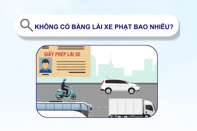 Không Có Bằng Lái Xe Phạt Bao Nhiêu Theo Quy Định Mới? | Toyota