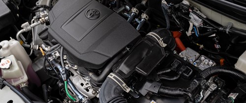 xe hybrid 5 chỗ gầm cao