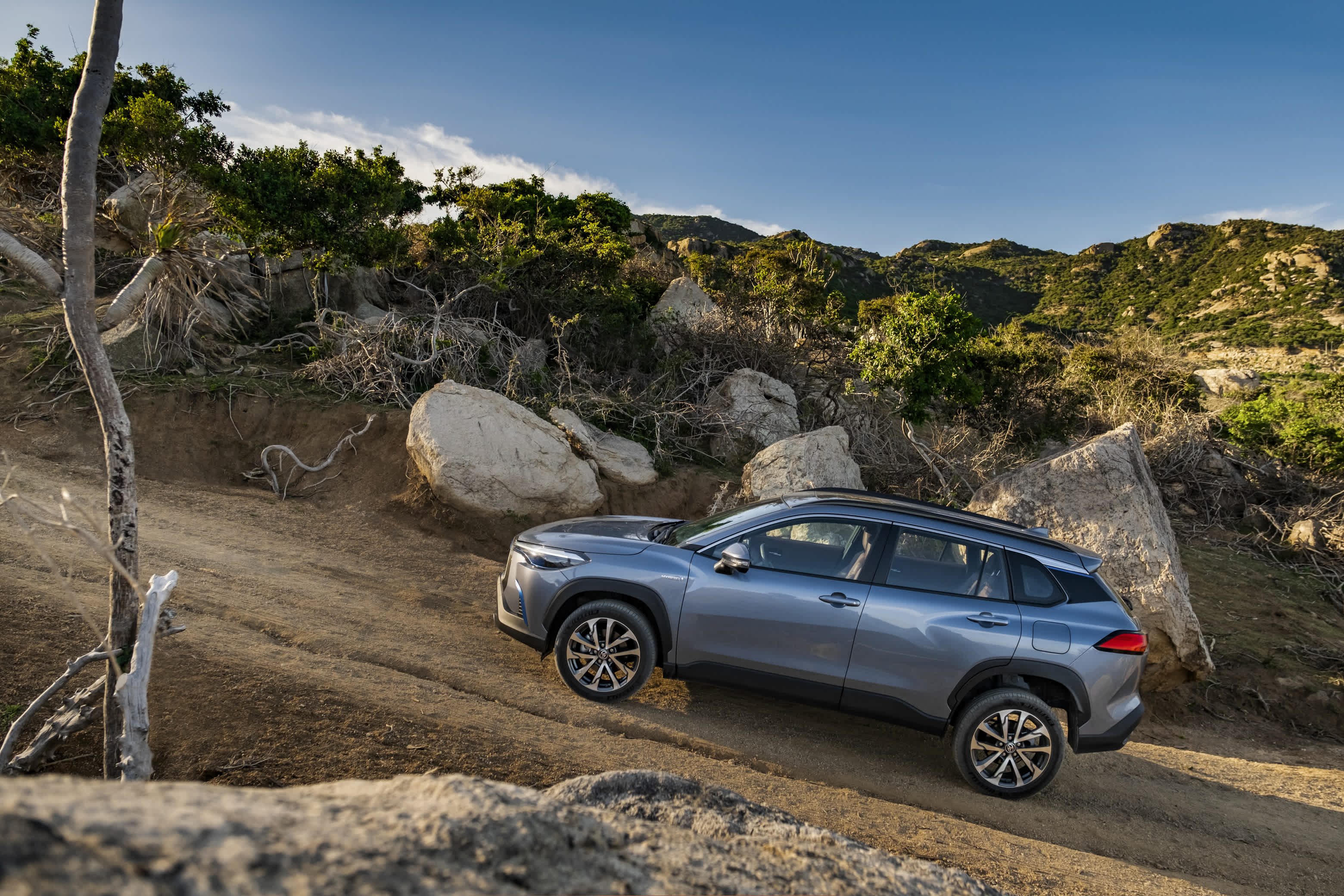 information-item-image